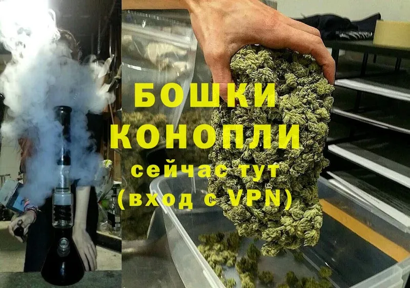 OMG   Покров  Шишки марихуана White Widow 